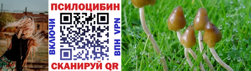 Галлюциногенные грибы мухоморы  цены   Курганинск 